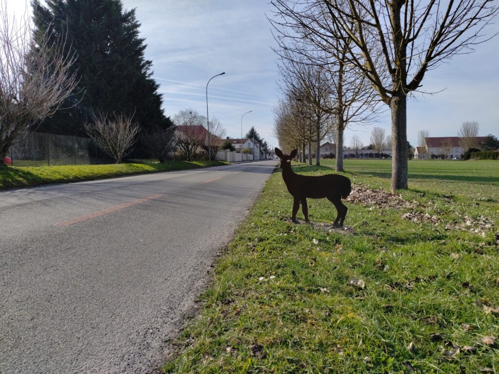 silhouette animal Orry la ville