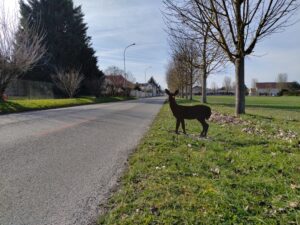 silhouette animal Orry la ville