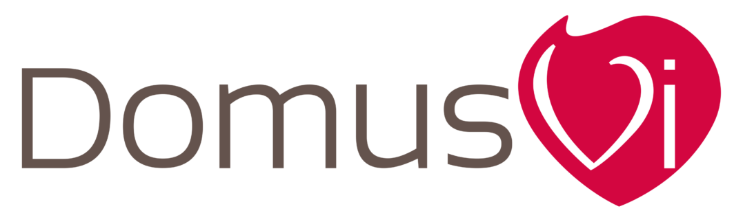 logo domusvi