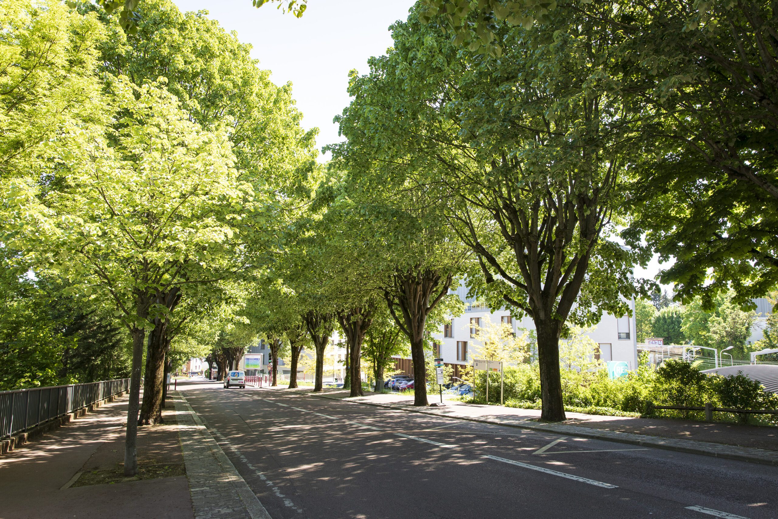 nature en ville sceaux
