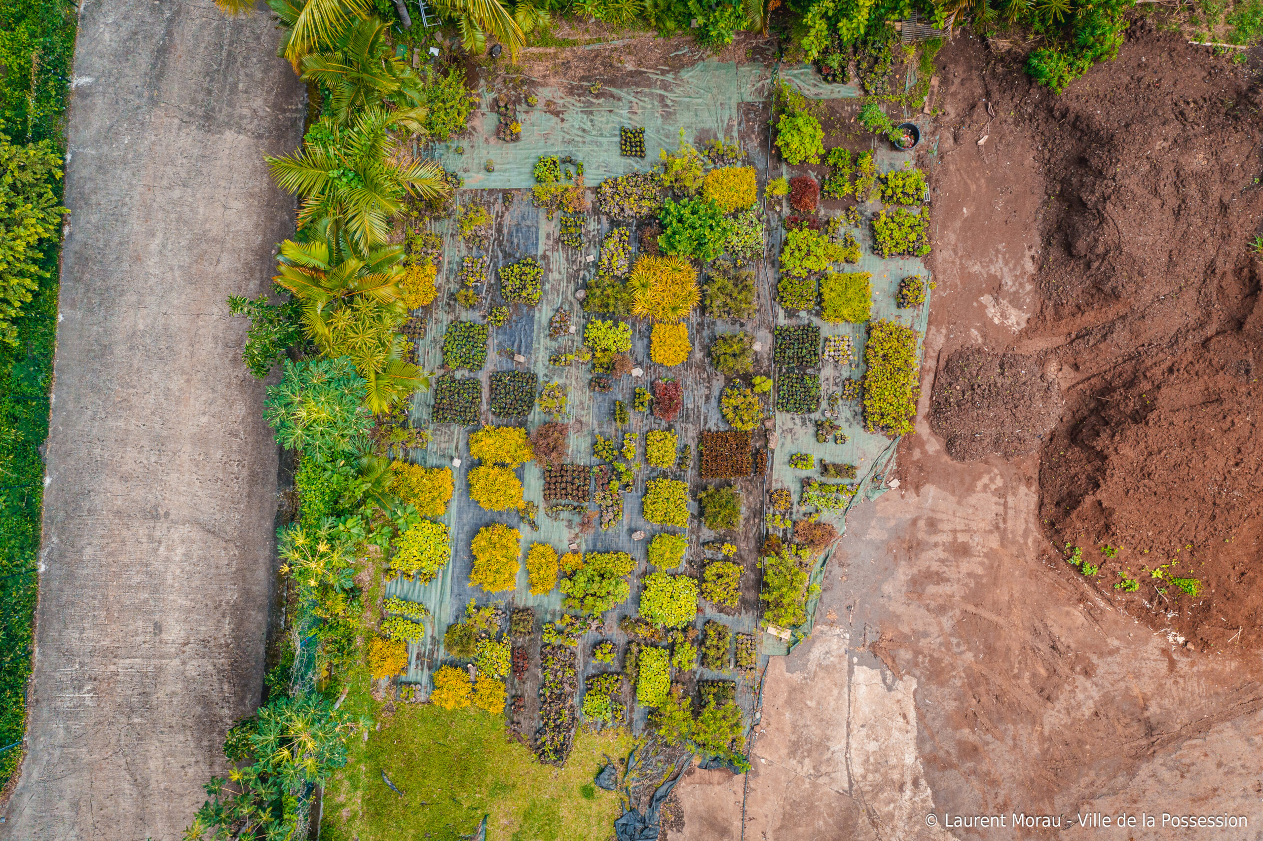 pépinière communale La Possession